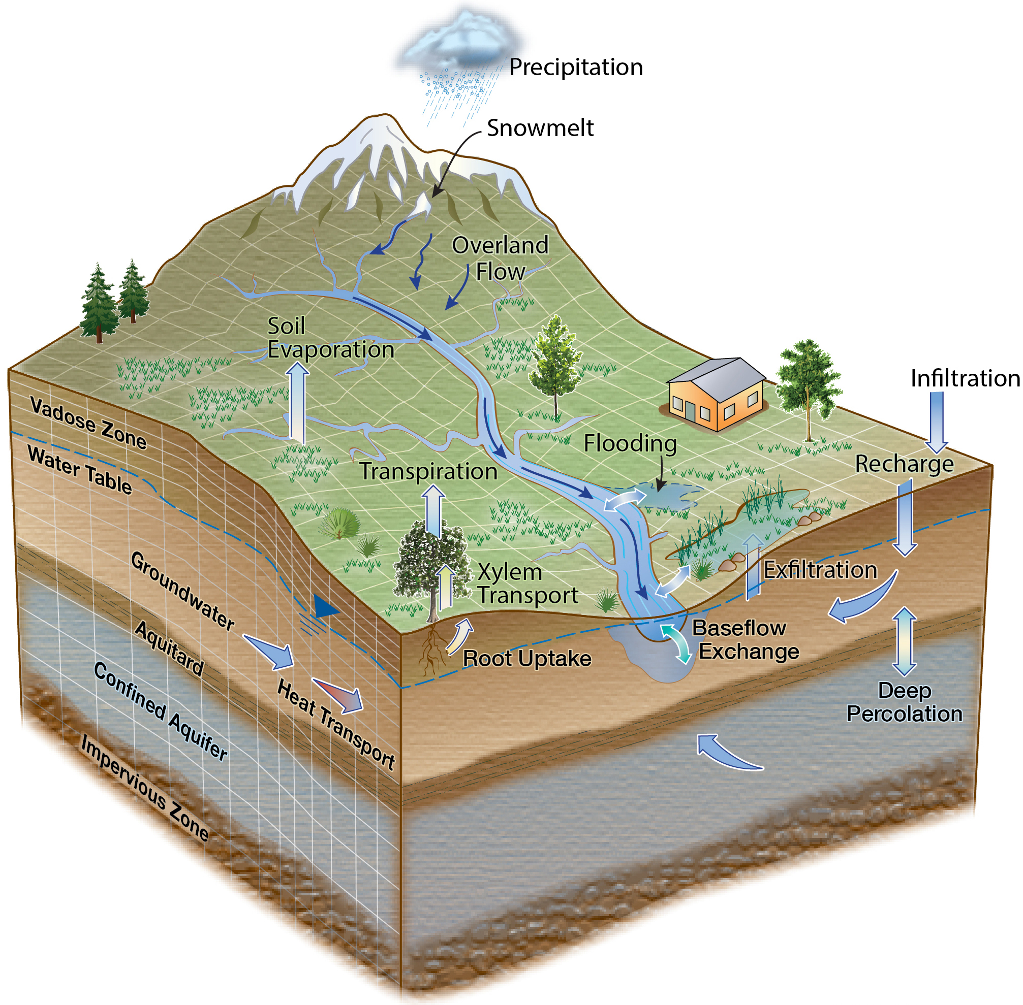 Land model schematic